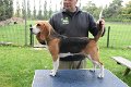 Afb_20161002_Pippa (3)